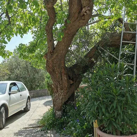 Blaslov Appartamento